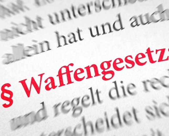 Wörterbuch mit dem Begriff Waffengesetz