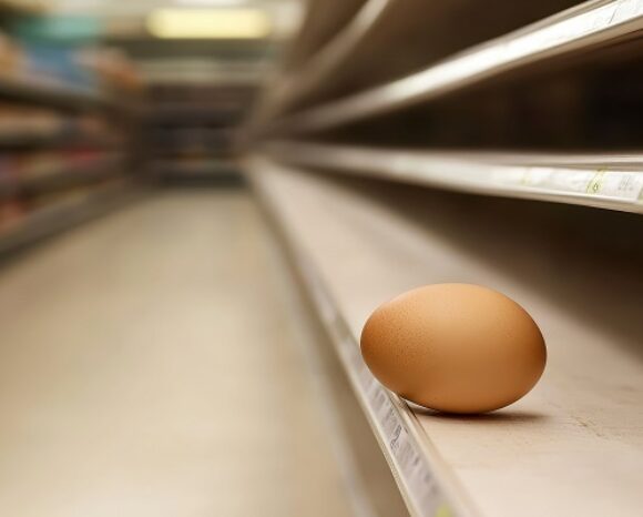 Warenschwund, Einzelnes Ei auf leerem Supermarktregal