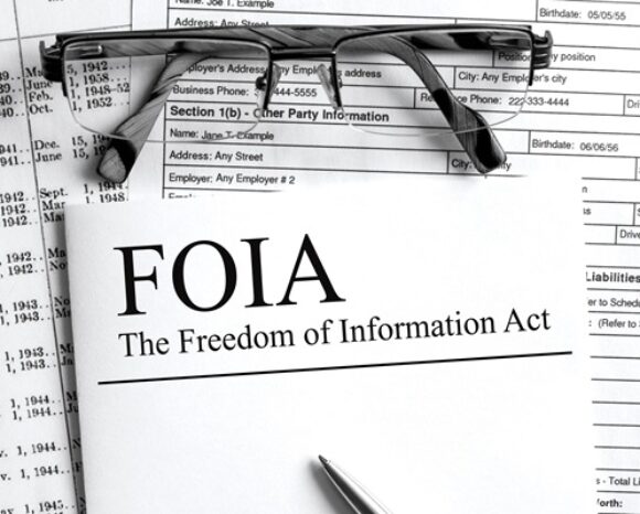 Informationsfreiheitsgesetz, Freedom of Information Act, FOIA